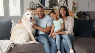 How to Move with Pets: Complete Guide for Dog and Cat Owners фото